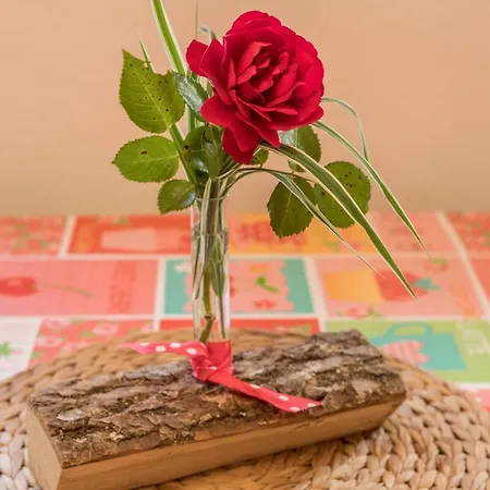 Weber Fichte Appartement *